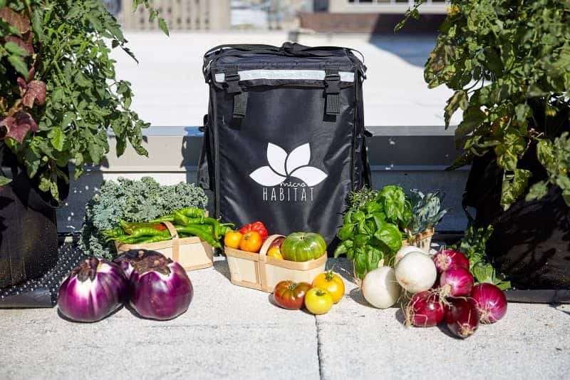 Local Harvest Distribution