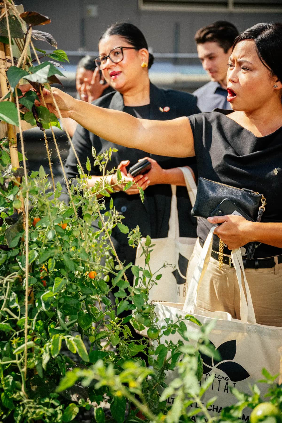 Wereldstedendag: wie gebruikt uw groene ruimte?