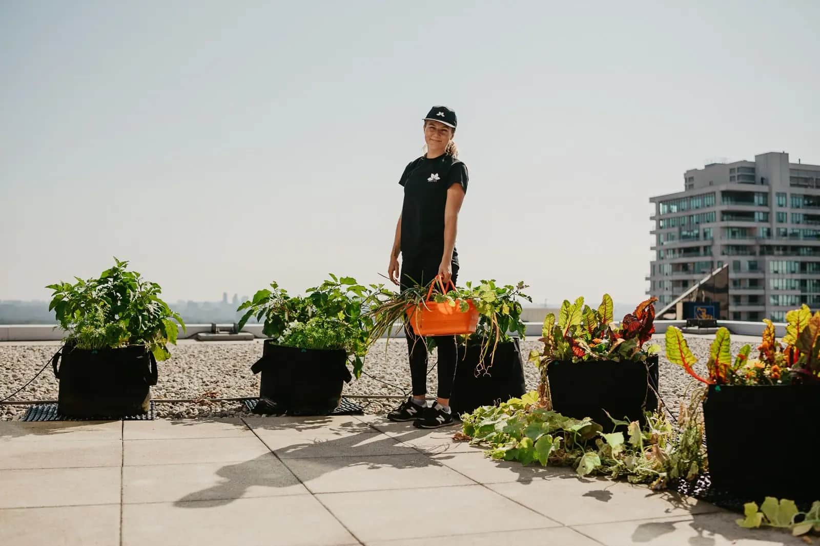 The Advantages of Doing Business with a B-Corp
