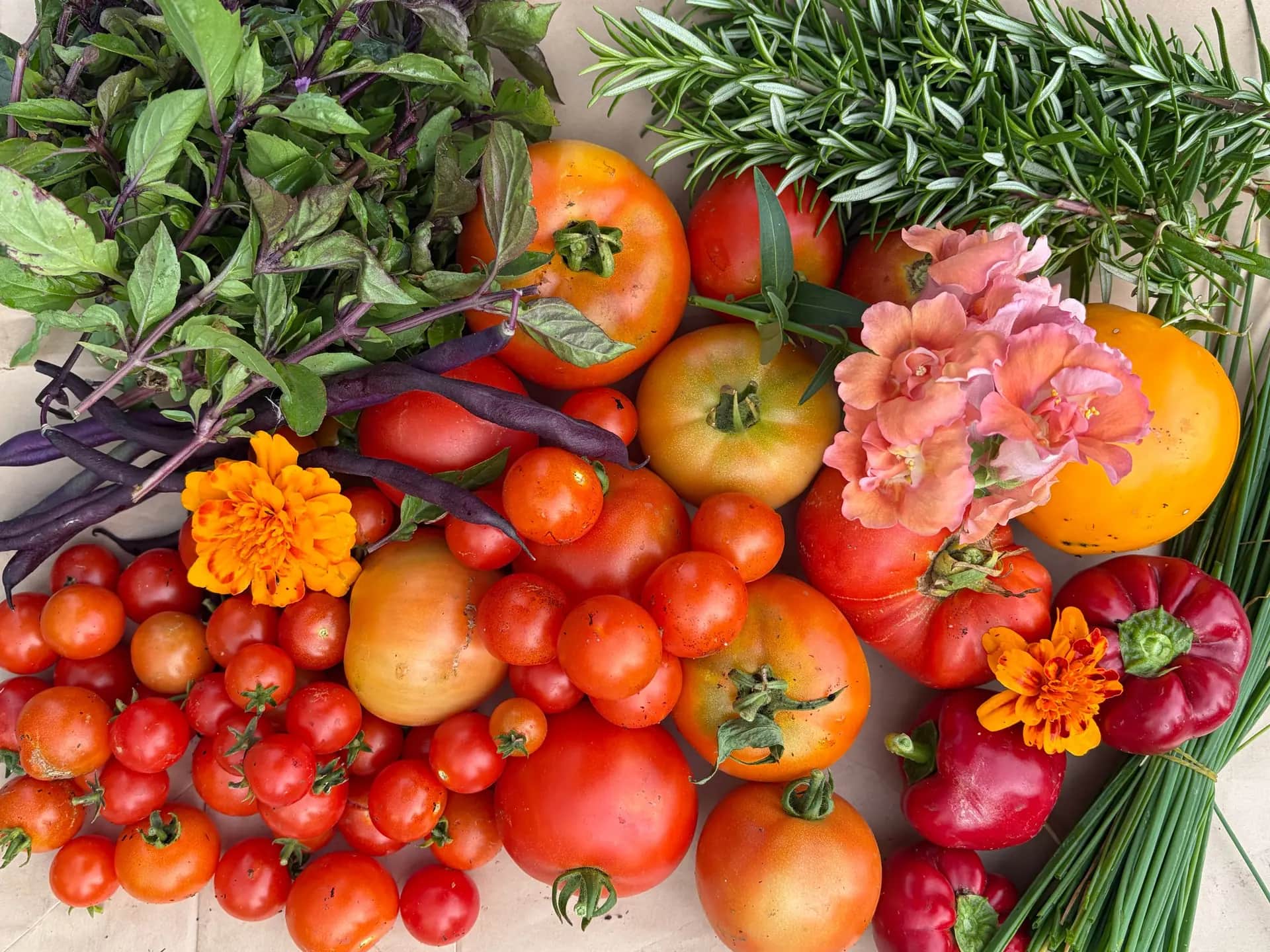 Overhead spread of tomatoes, peppers, beans, herbs and flowers on a table.