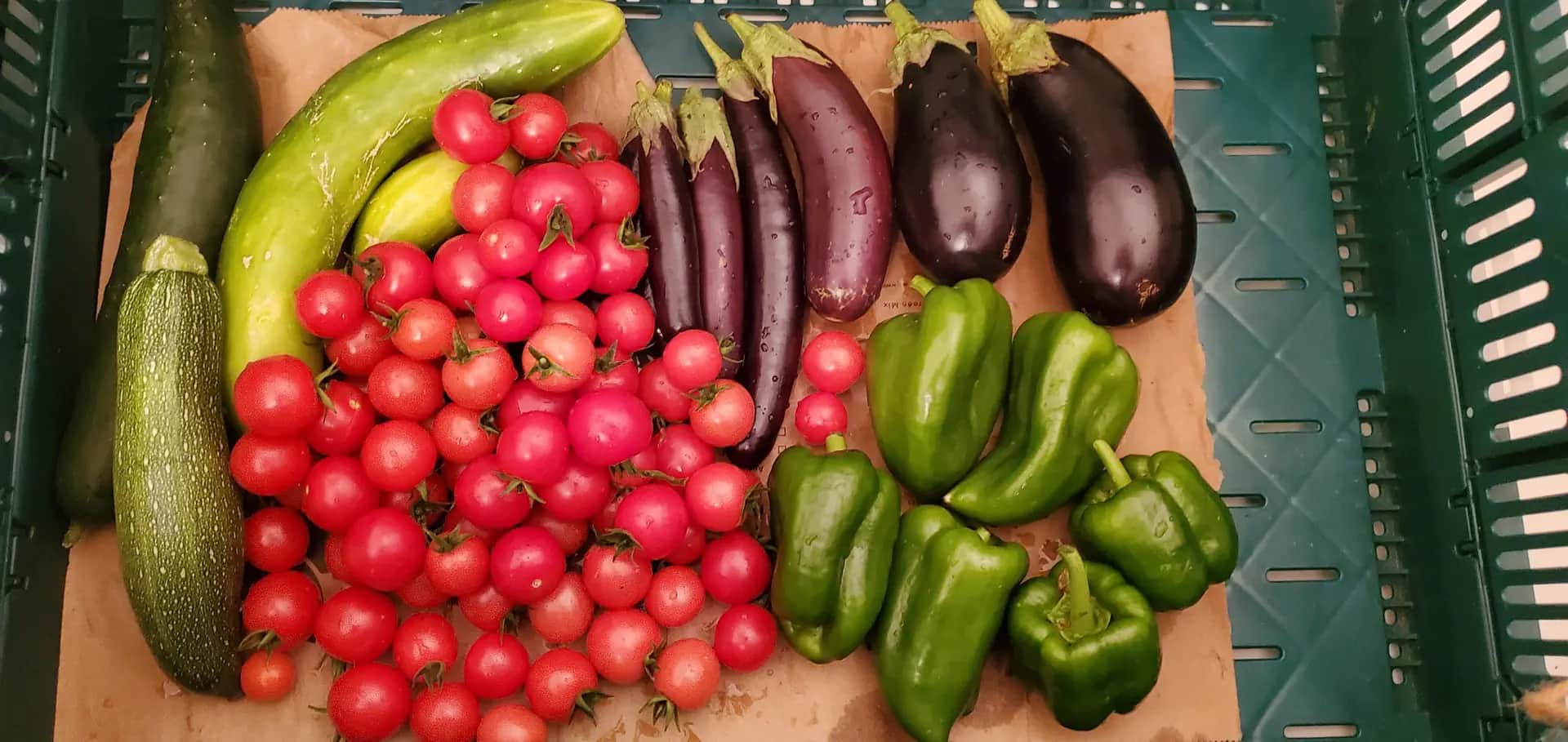 Zucchini, cherry tomatoes, eggplants and green peppers laid out on paper in a harvest crate.