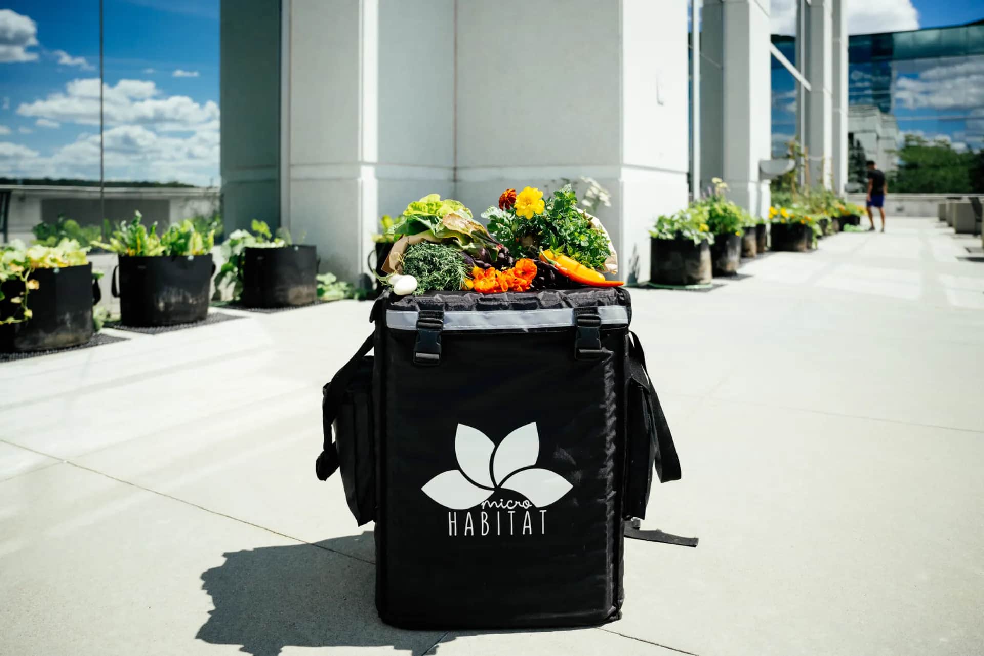 Return-to-Office Incentives That Work: Why People Come Back