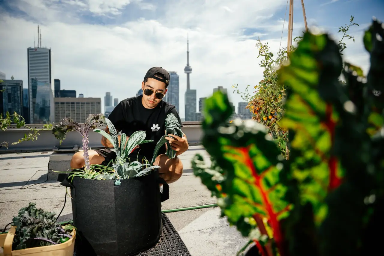 Commercial Real Estate Urban Farm