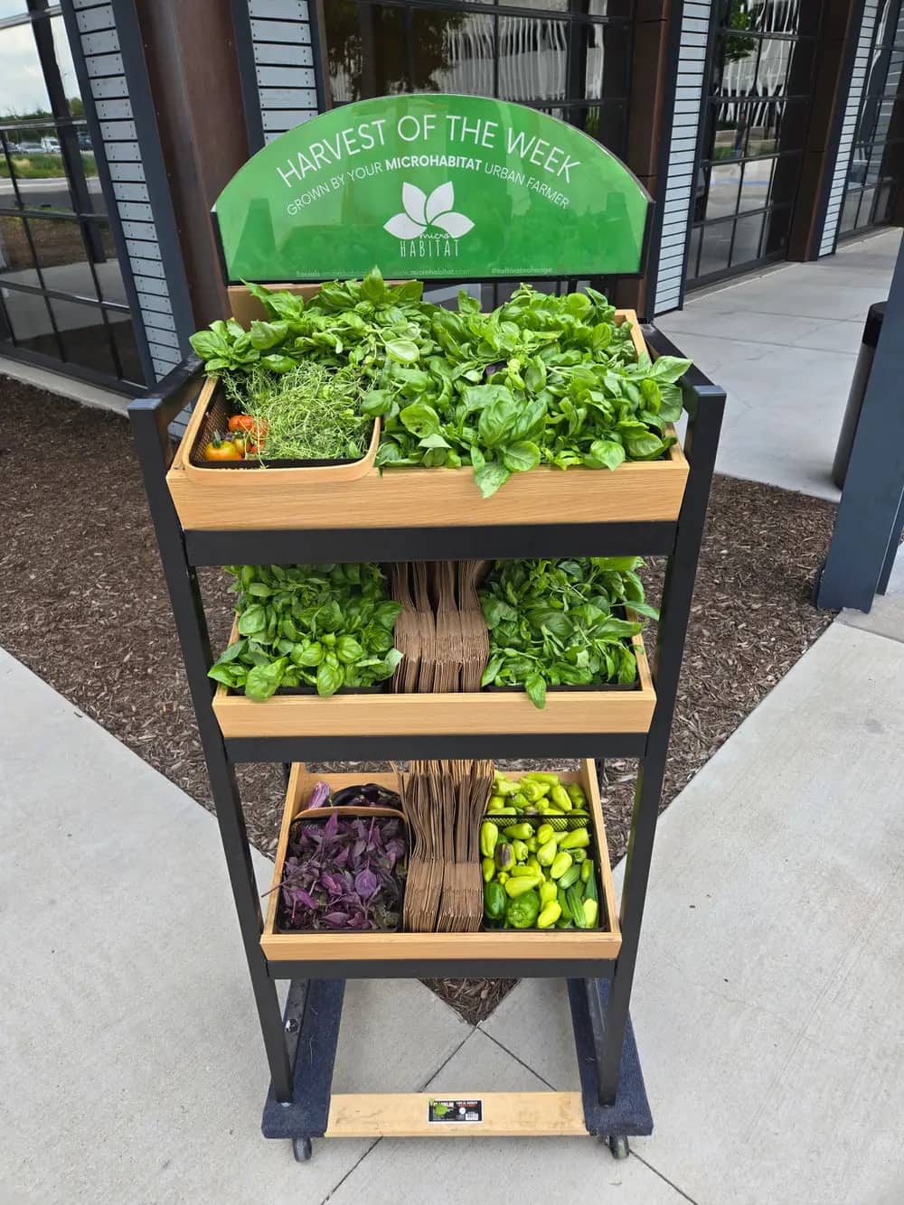 A tiered wooden cart displays fresh basil, herbs, peppers, and tomatoes with a harvest sign.