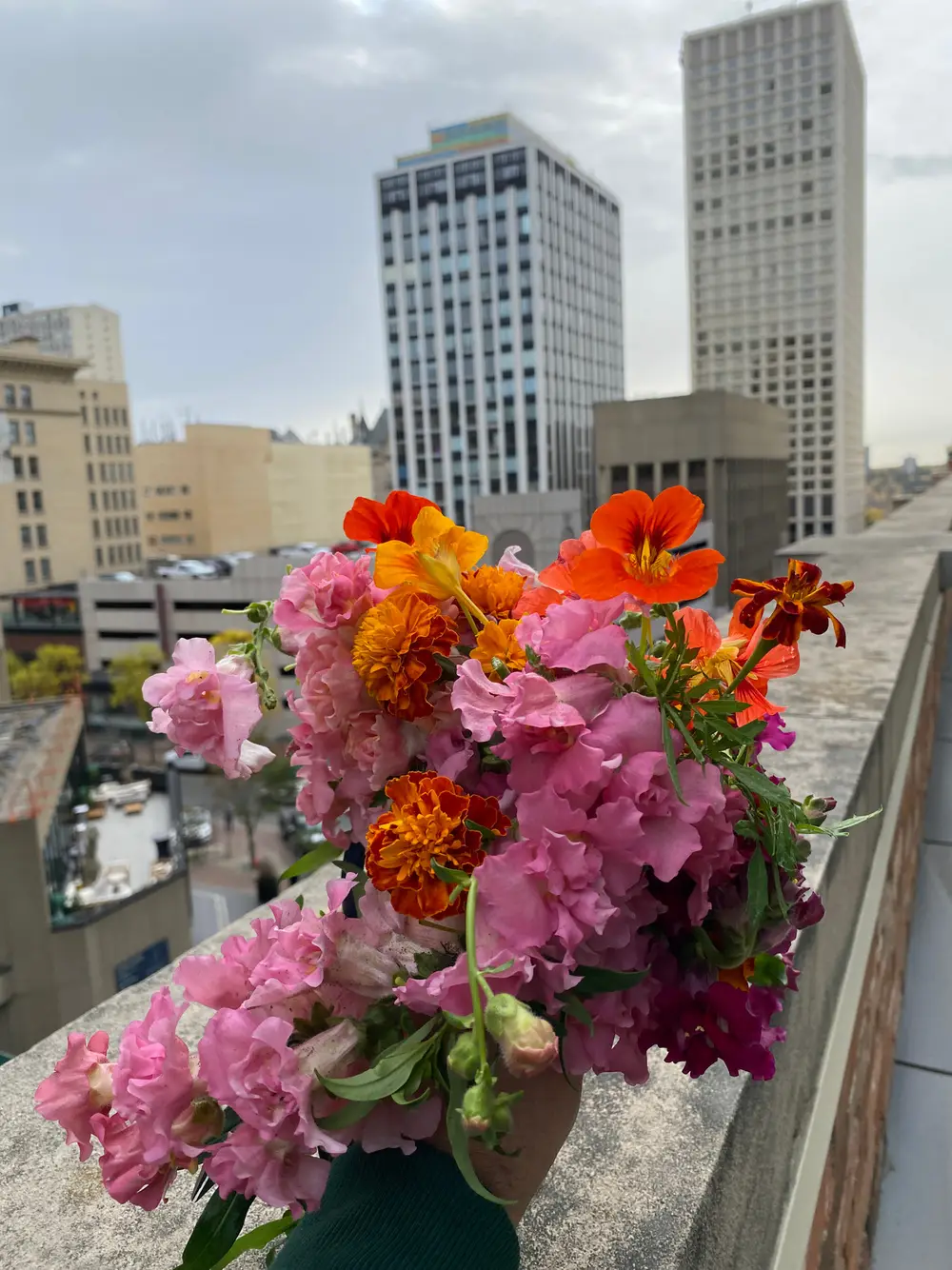 A bouquet of pink, orange, and yellow flowers held up against a city skyline.