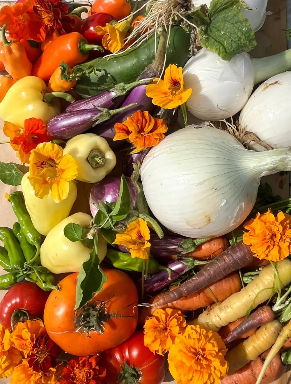 An overhead view of colorful vegetables including peppers, eggplants, onions, carrots and flowers.