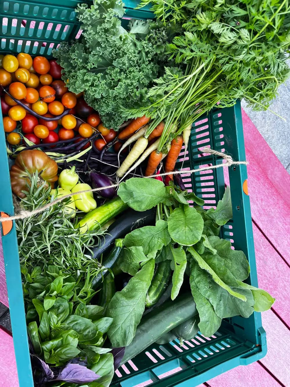 A crate filled with colorful tomatoes, carrots, kale, eggplants, and herbs.