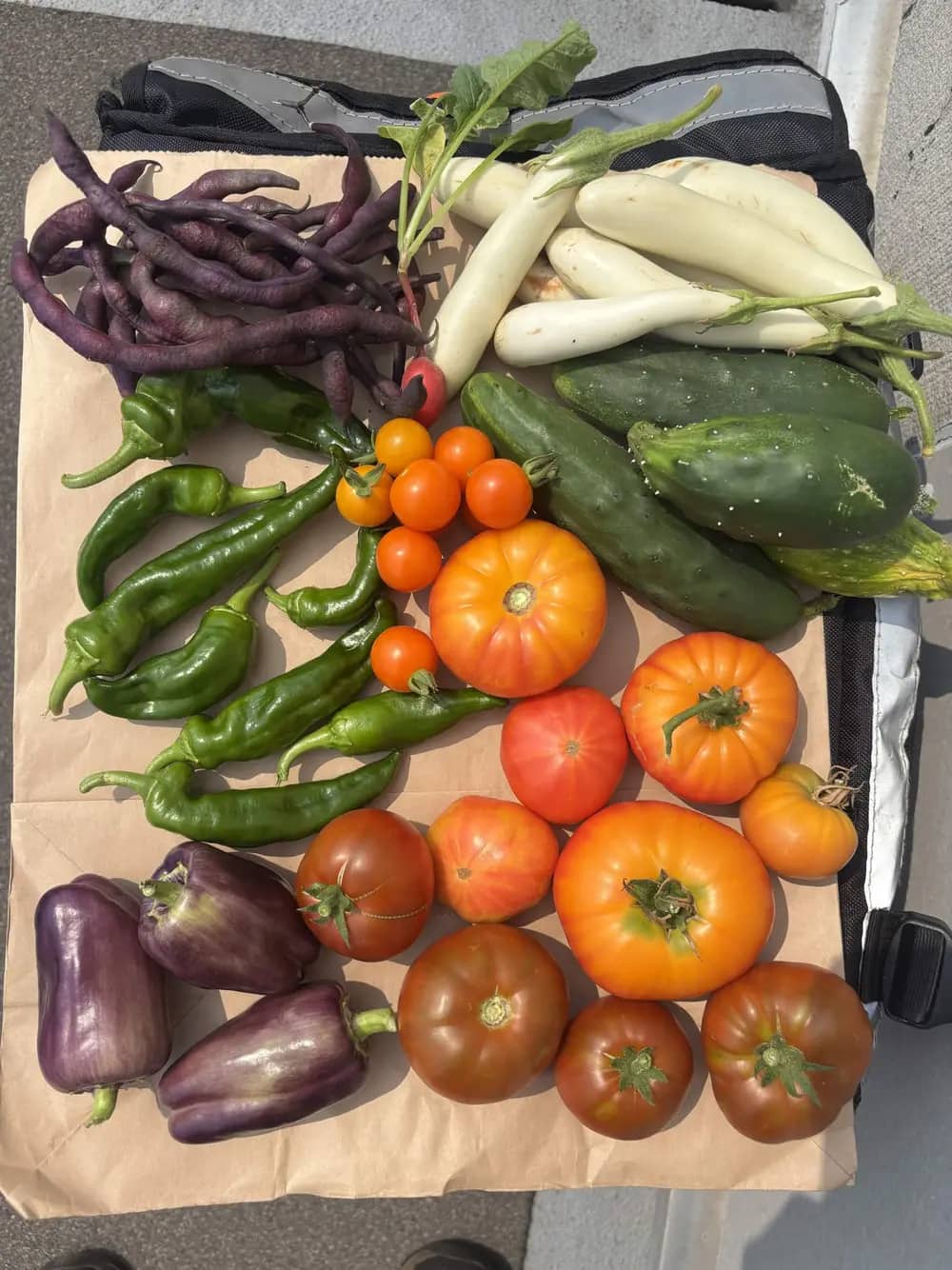 An assortment of colourful vegetables including tomatoes, peppers, eggplants and cucumbers on paper