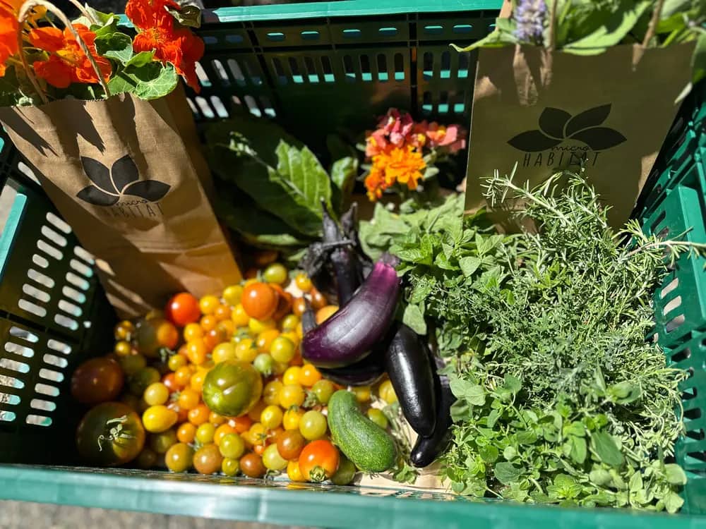 A green crate holds cherry tomatoes, eggplants, herbs, flowers, and branded paper bags.