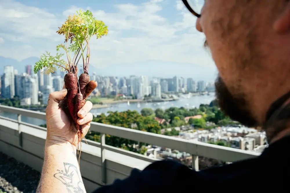 A person holds freshly harvested carrots on a rooftop overlooking a city skyline and water