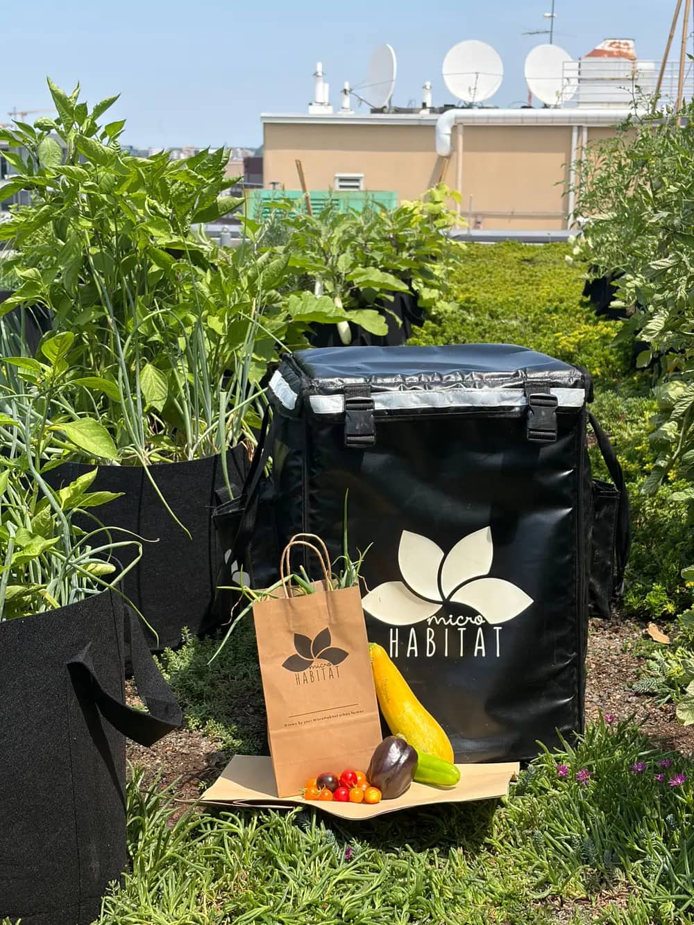 Harvested vegetables and a branded delivery bag sit among rooftop garden plants with skyline behind