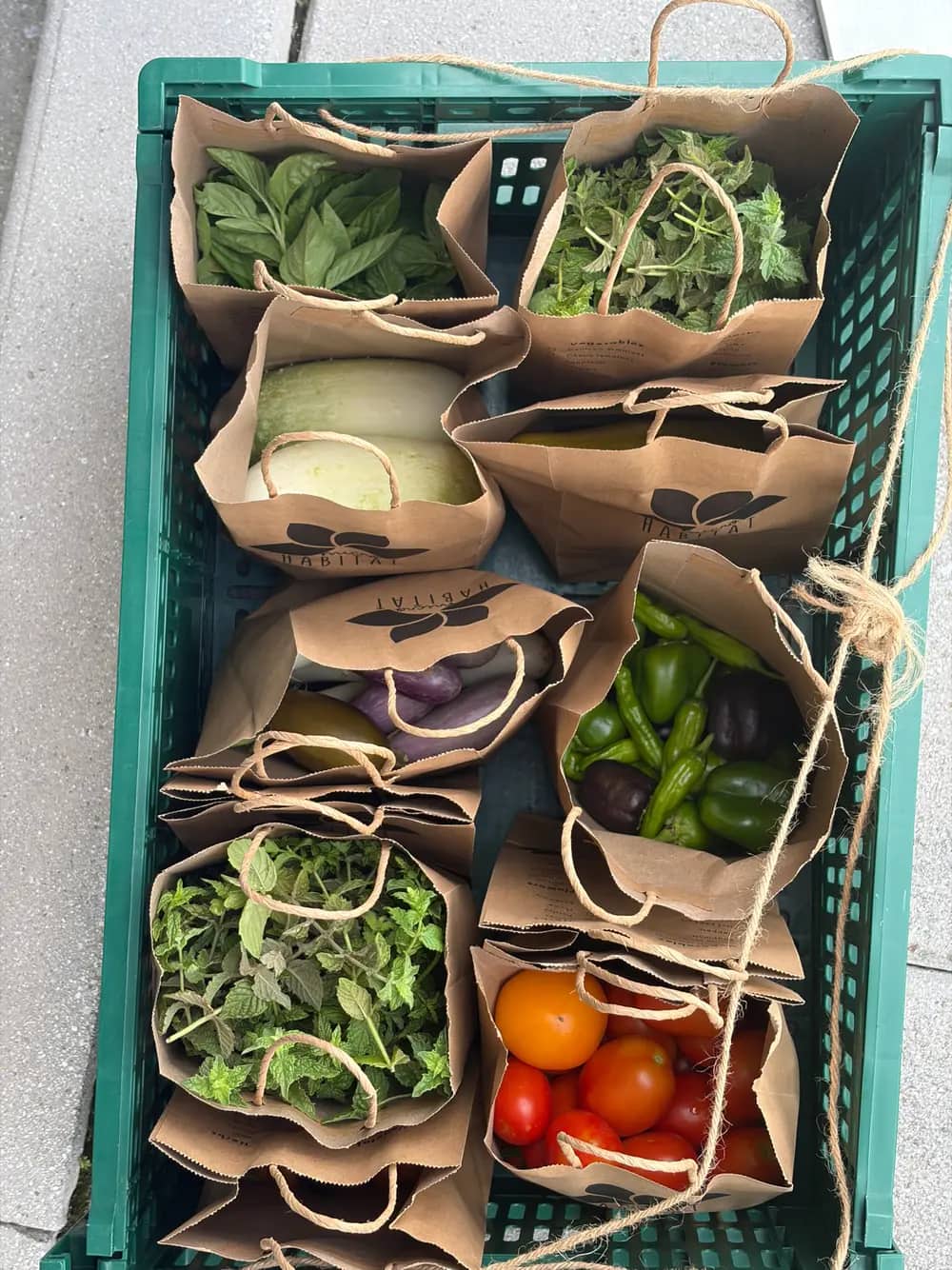 Paper bags of harvested vegetables and herbs packed into a green crate