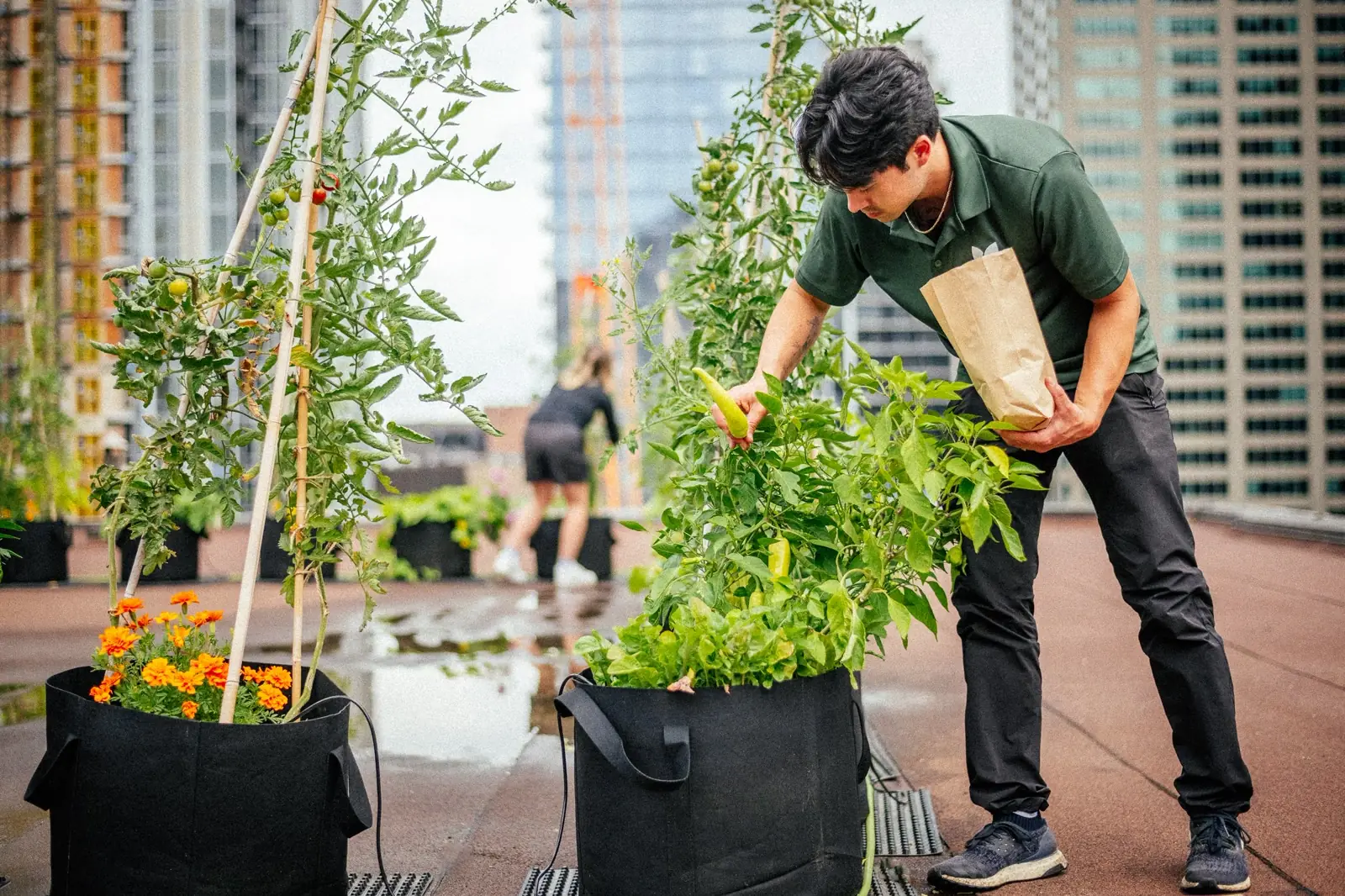 5 Vegetables You've Probably Never Heard Of