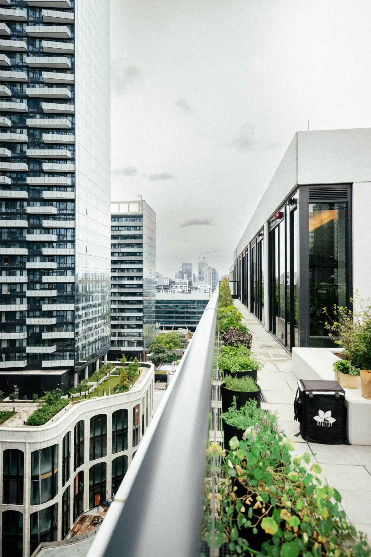 Biophilic Design in the Workplace Guide