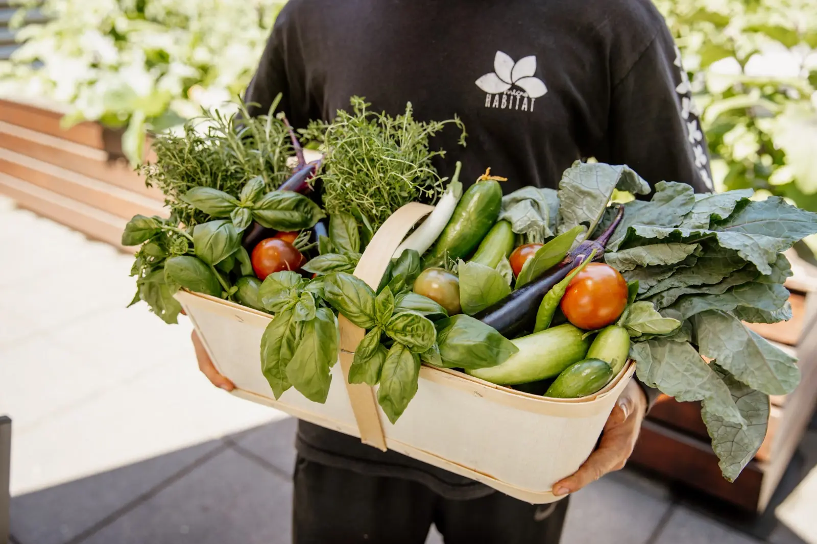 Cultivating Wellness with Sainte-Justine Hospital