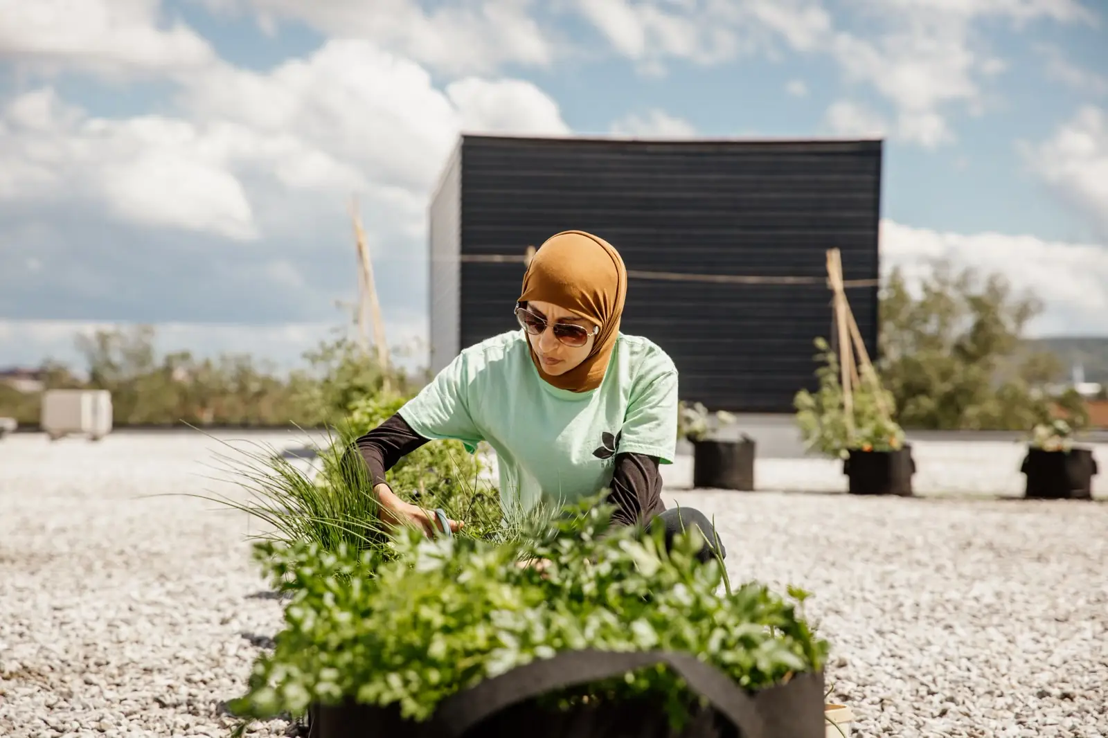 DIY Gardening Tips from MicroHabitat Experts