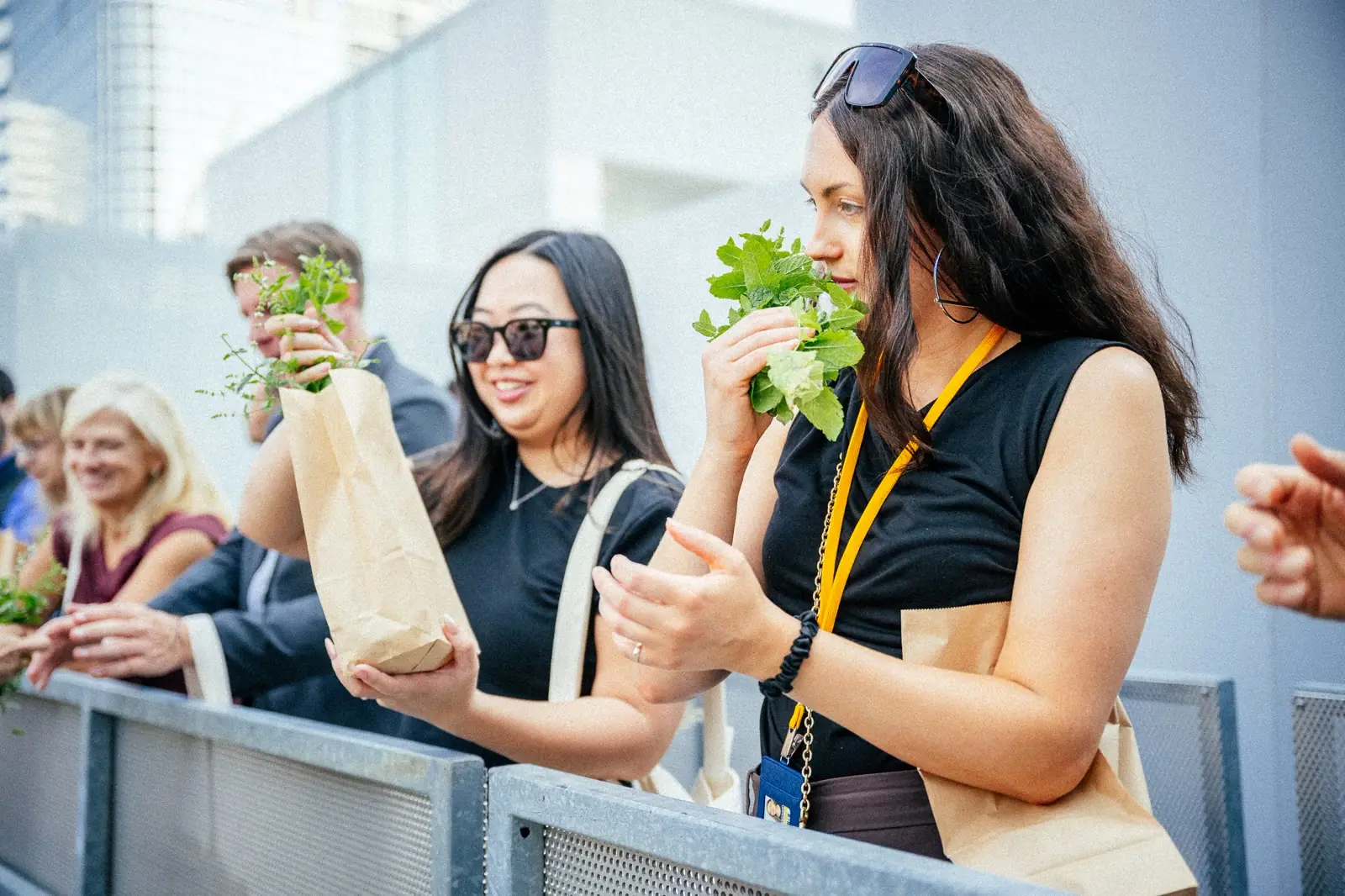 Best Plants for Rooftop Gardens