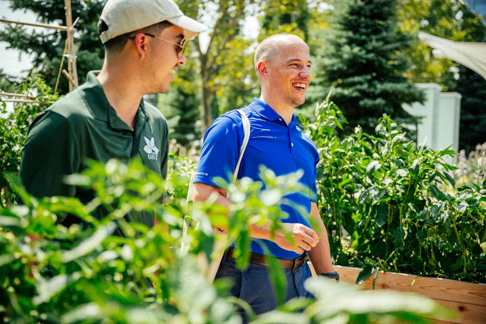 Are Urban Farms Profitable? ROI Data