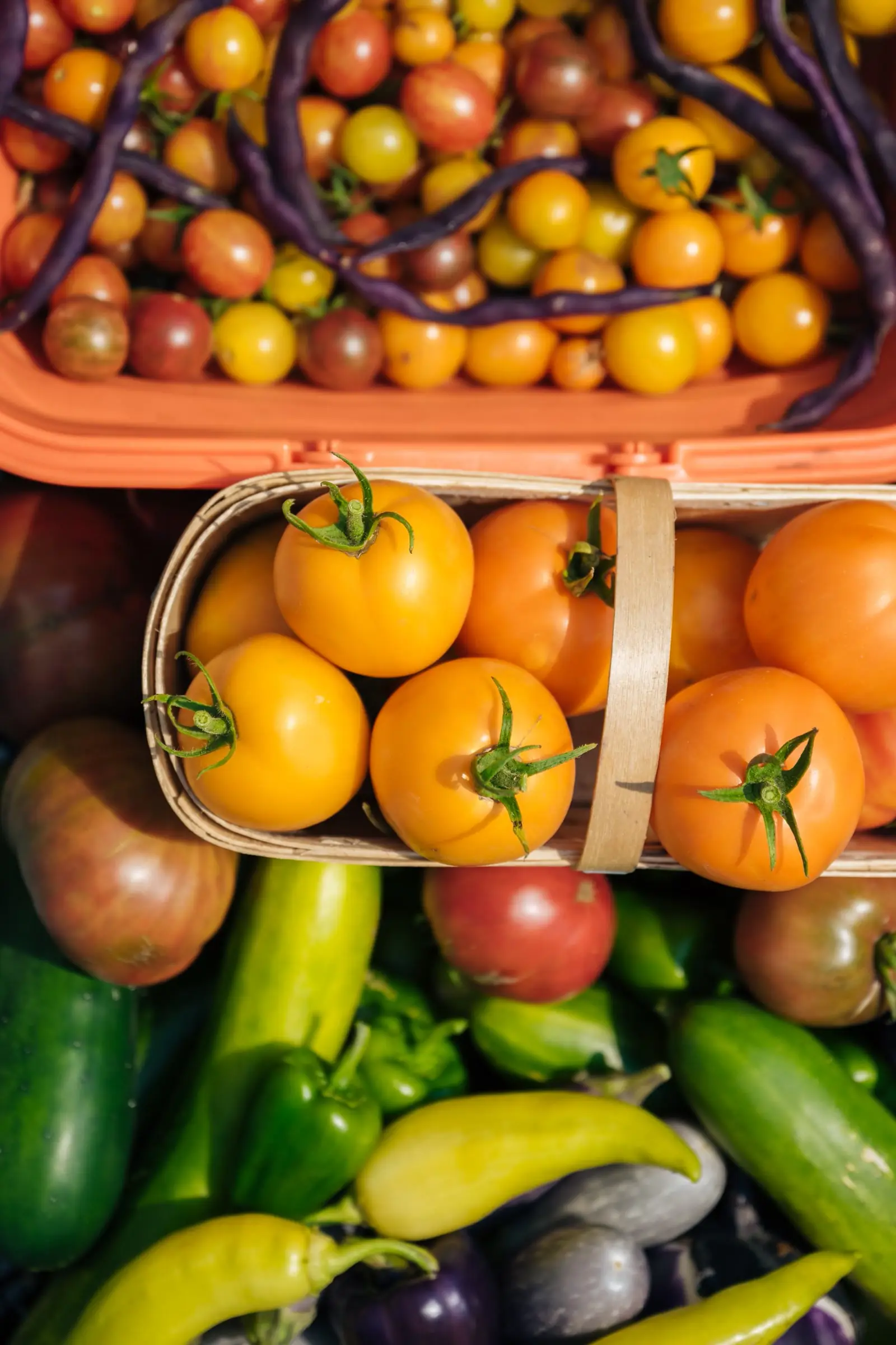 MicroHabitat Expands to Europe: A New Chapter in Urban Farming