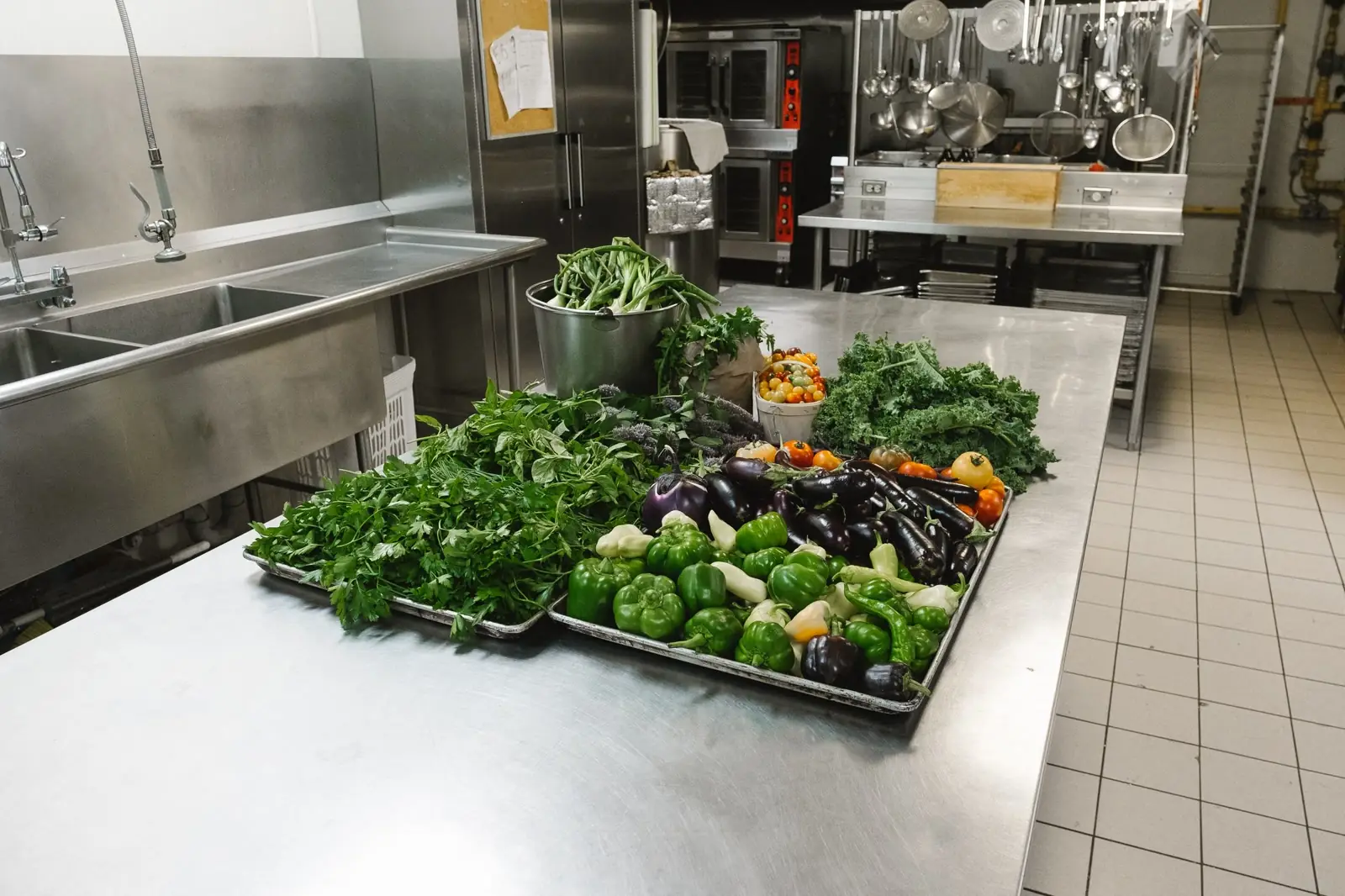 Urban Farm vs Community Garden