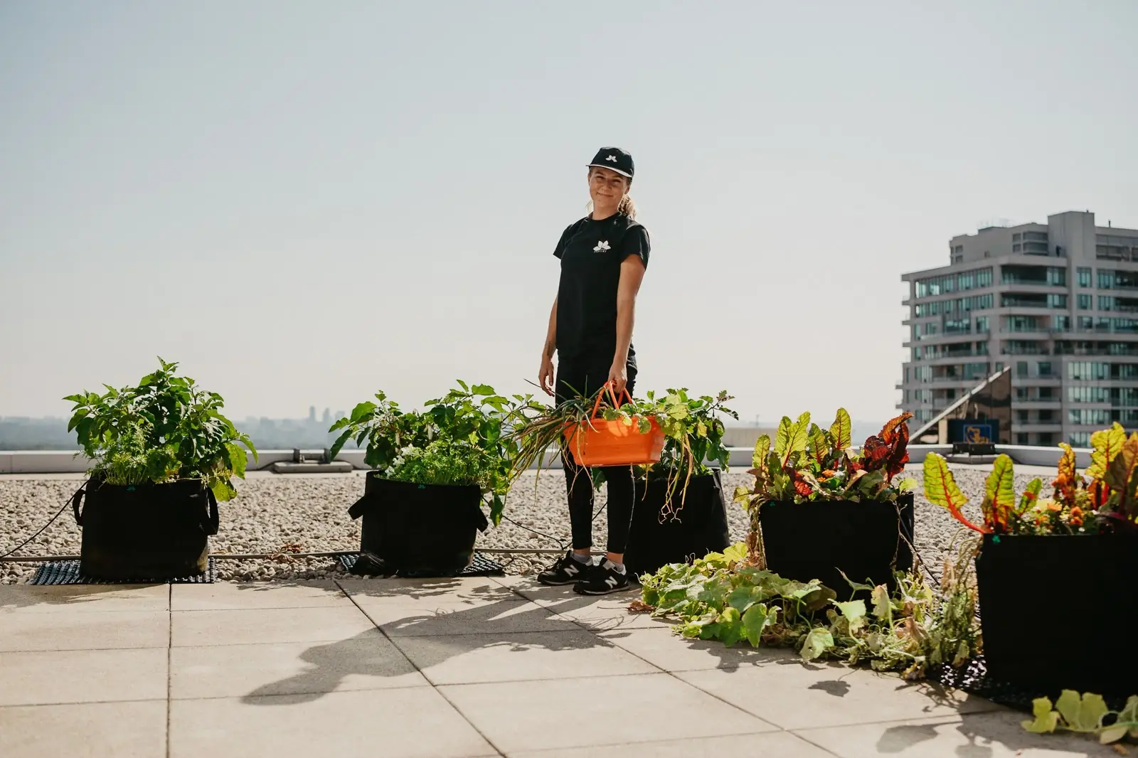 The Advantages of Doing Business with a B-Corp