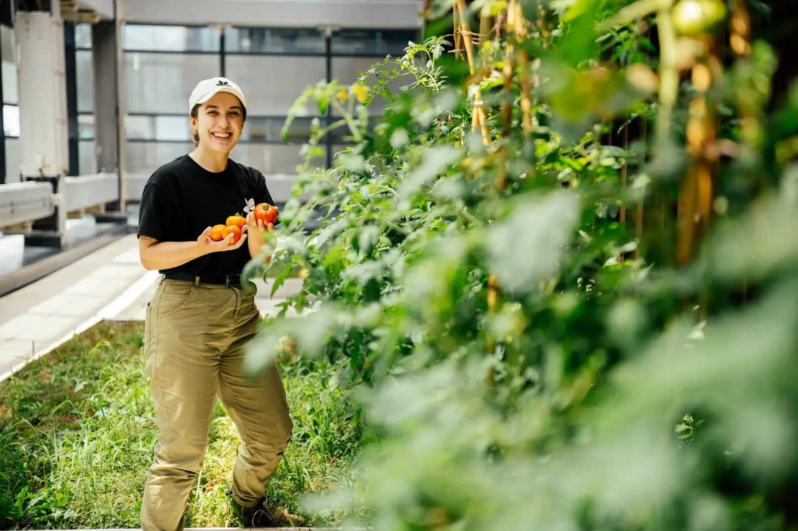 Urban Solidarity Farms: Supporting Food Banks Through Urban Agriculture