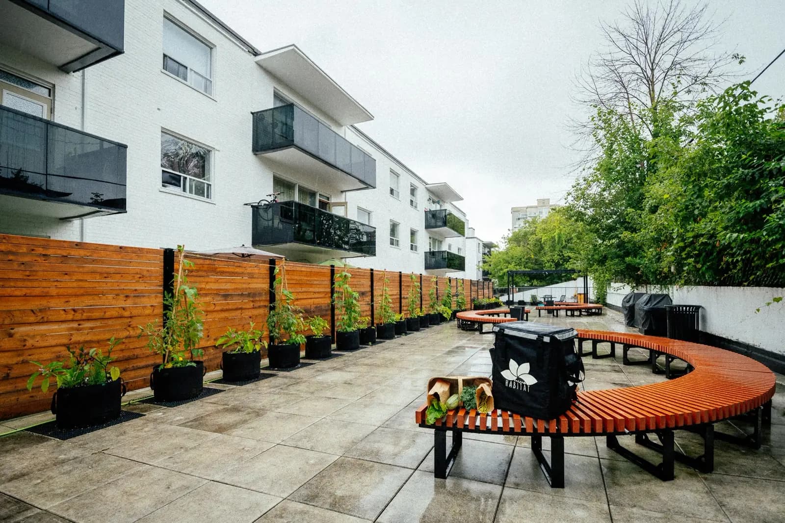 Why BREEAM is Gaining Traction in the USA
