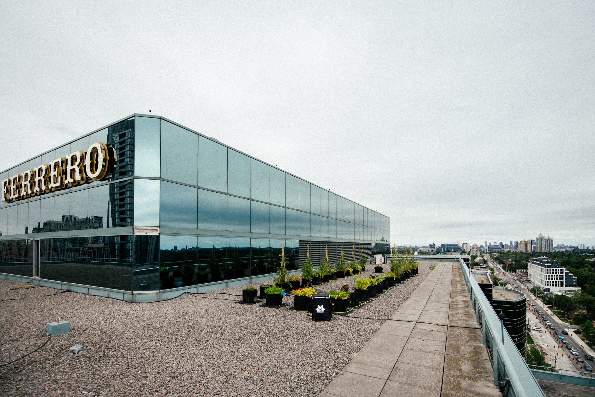 A MicroHabitat rooftop farm on a downtown office tower, overlooking the city skyline