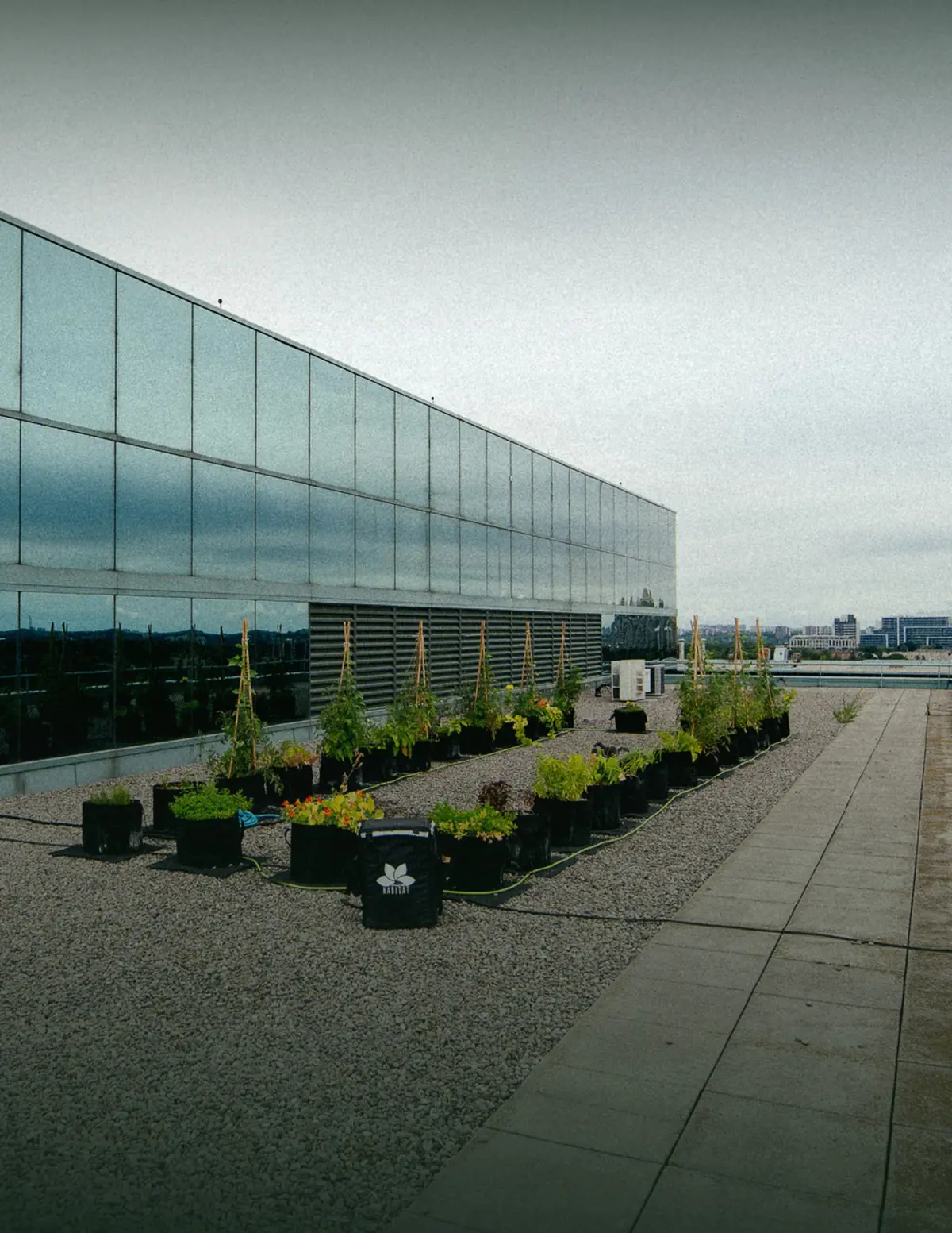 A rooftop terrace beside a glass building with a few planters along the edge
