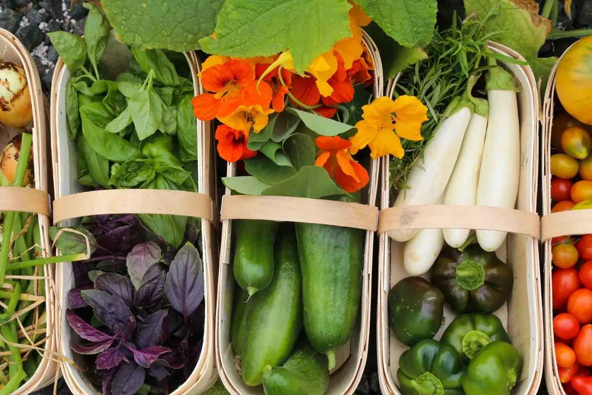 Wooden baskets of basil, cucumbers, radishes, peppers and nasturtium flowers