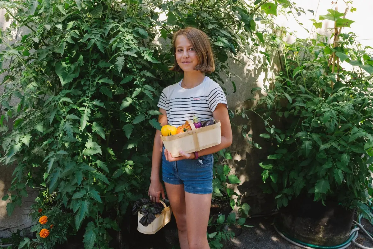 A girl holds a basket of vegetables among tall tomato plants