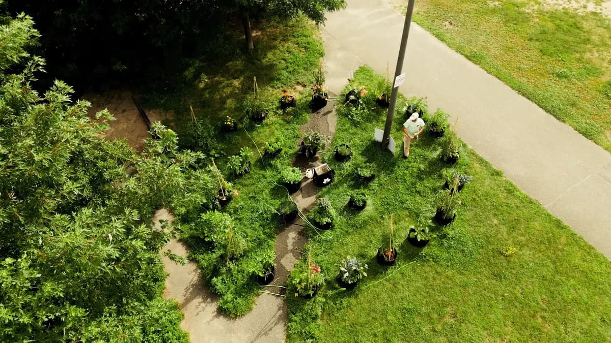 Rows of planters along a path on open grounds beside a building and trees