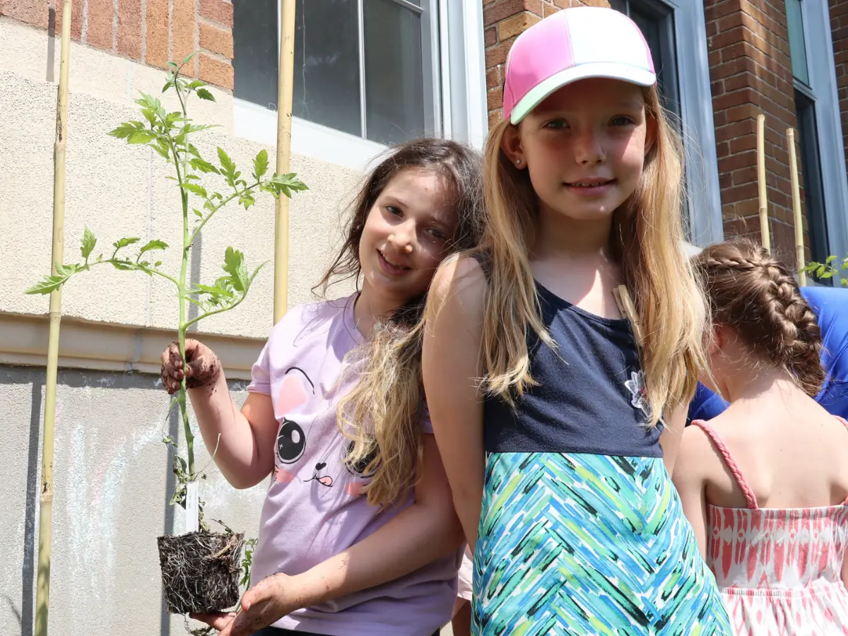 Two girls hold a tomato seedling ready for planting by a brick wall