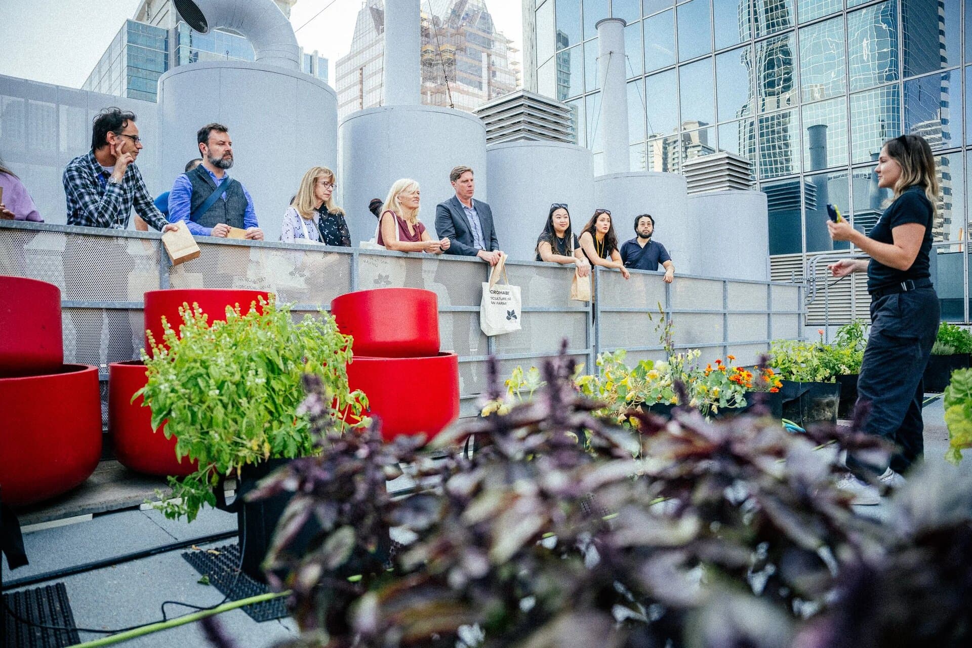Green certified building with urban farm