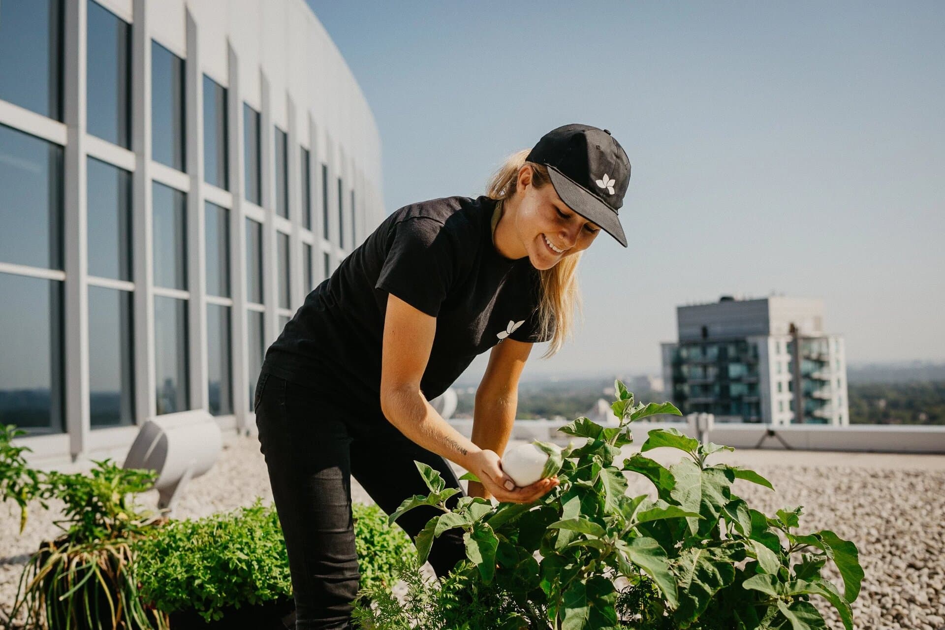 Sustainable urban farming at corporate properties