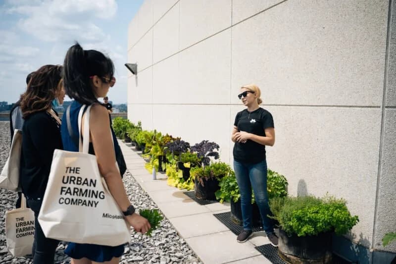 BNP Paribas in Canada urban farm