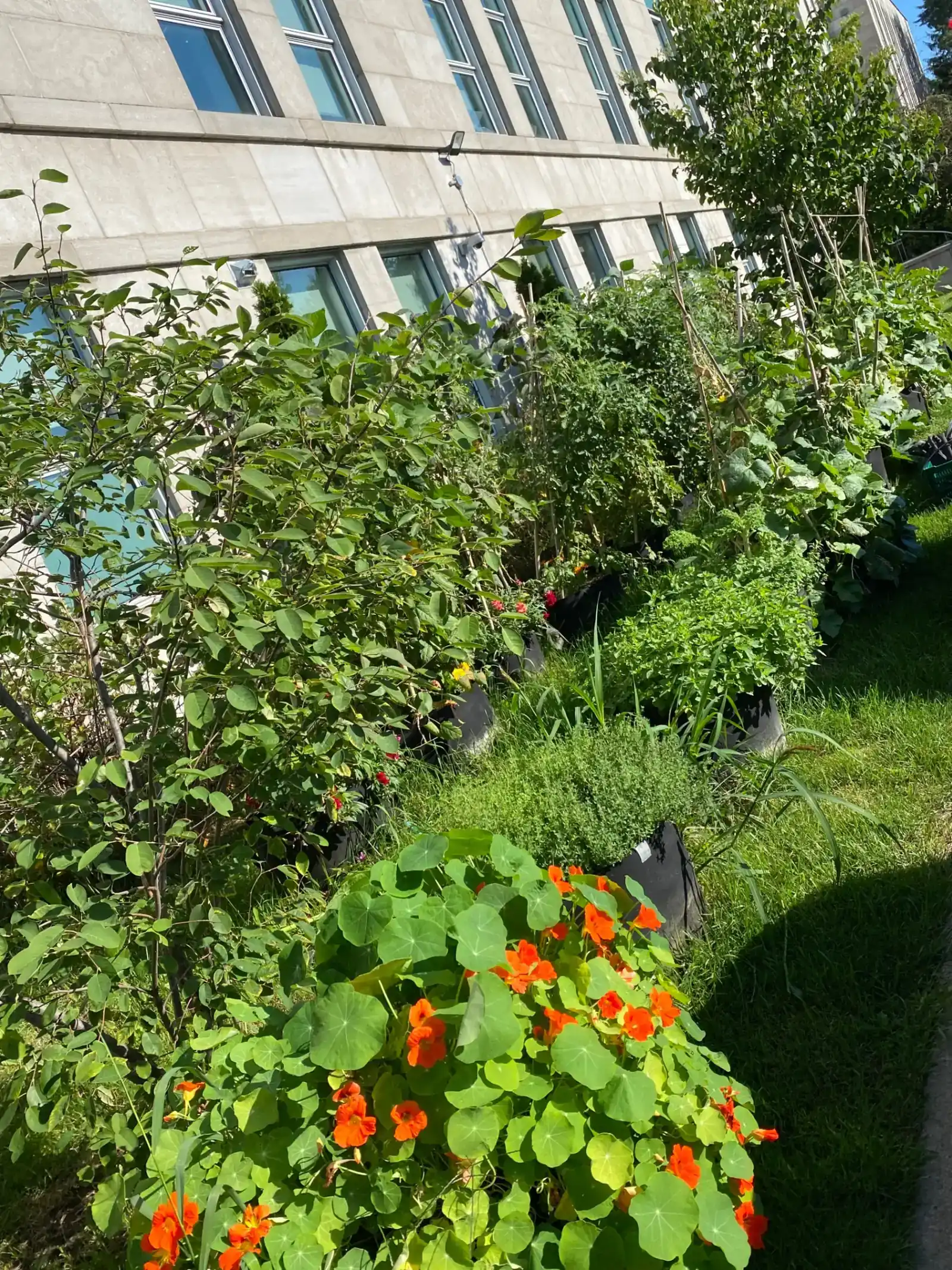 BOMA BEST & Urban Farms: Scoring Guide