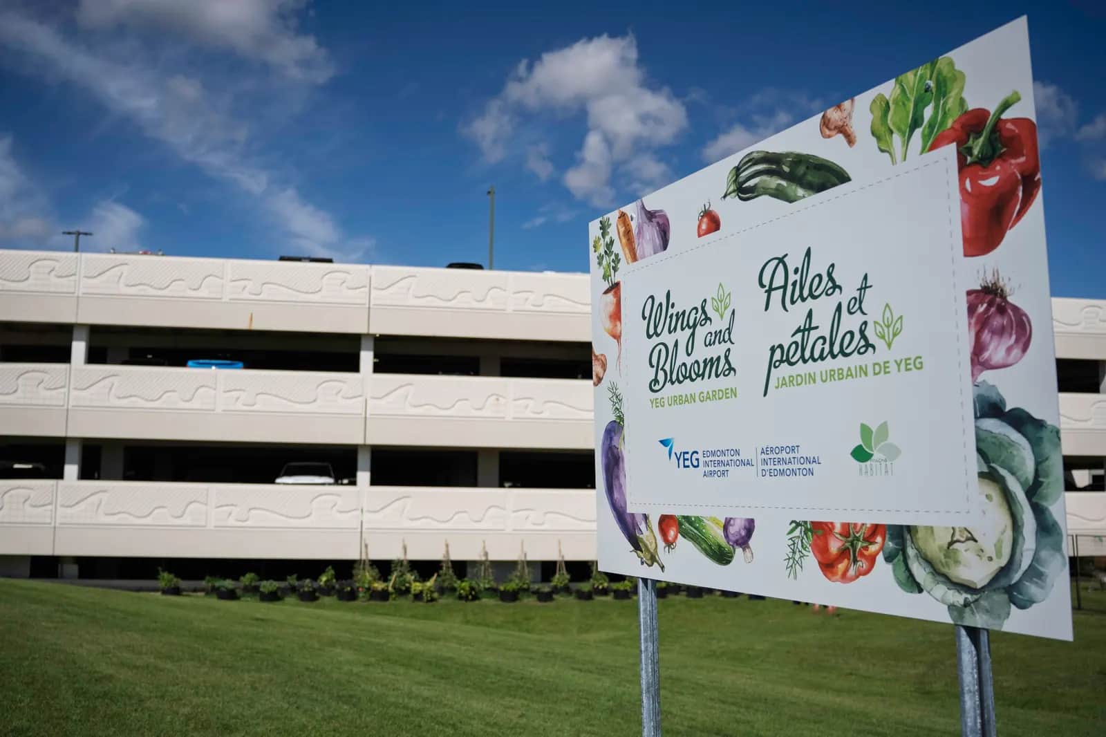 An Urban Garden at Edmonton International Airport