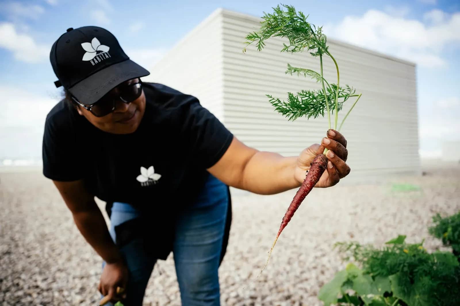 London rooftop farms: access and safety preparation