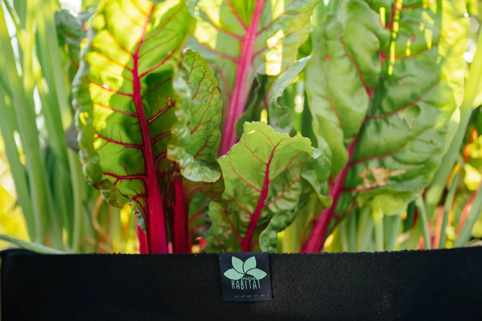 London rooftop farms: planning permission and greening