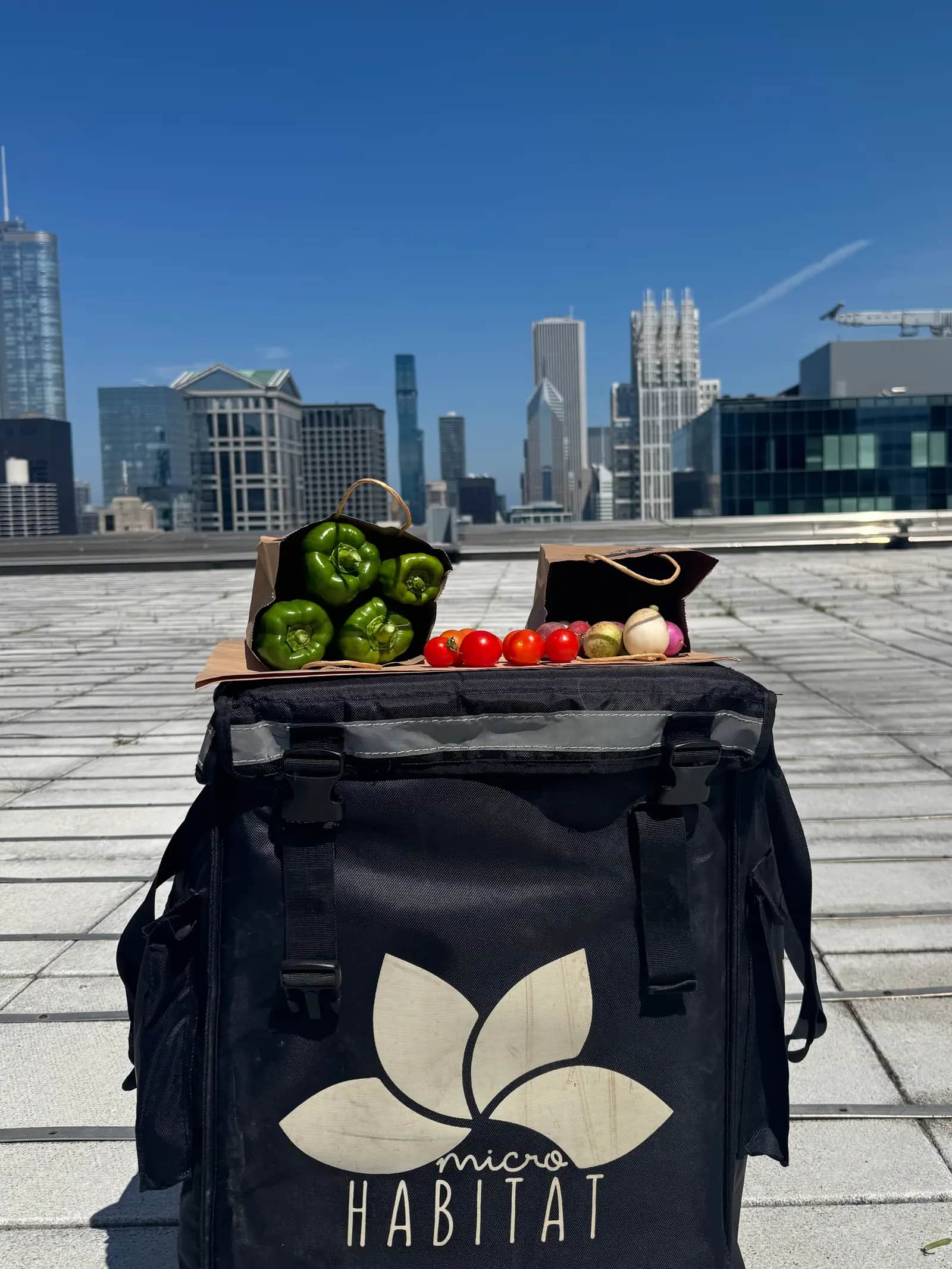 Return-to-Office Incentives That Work: Why People Come Back