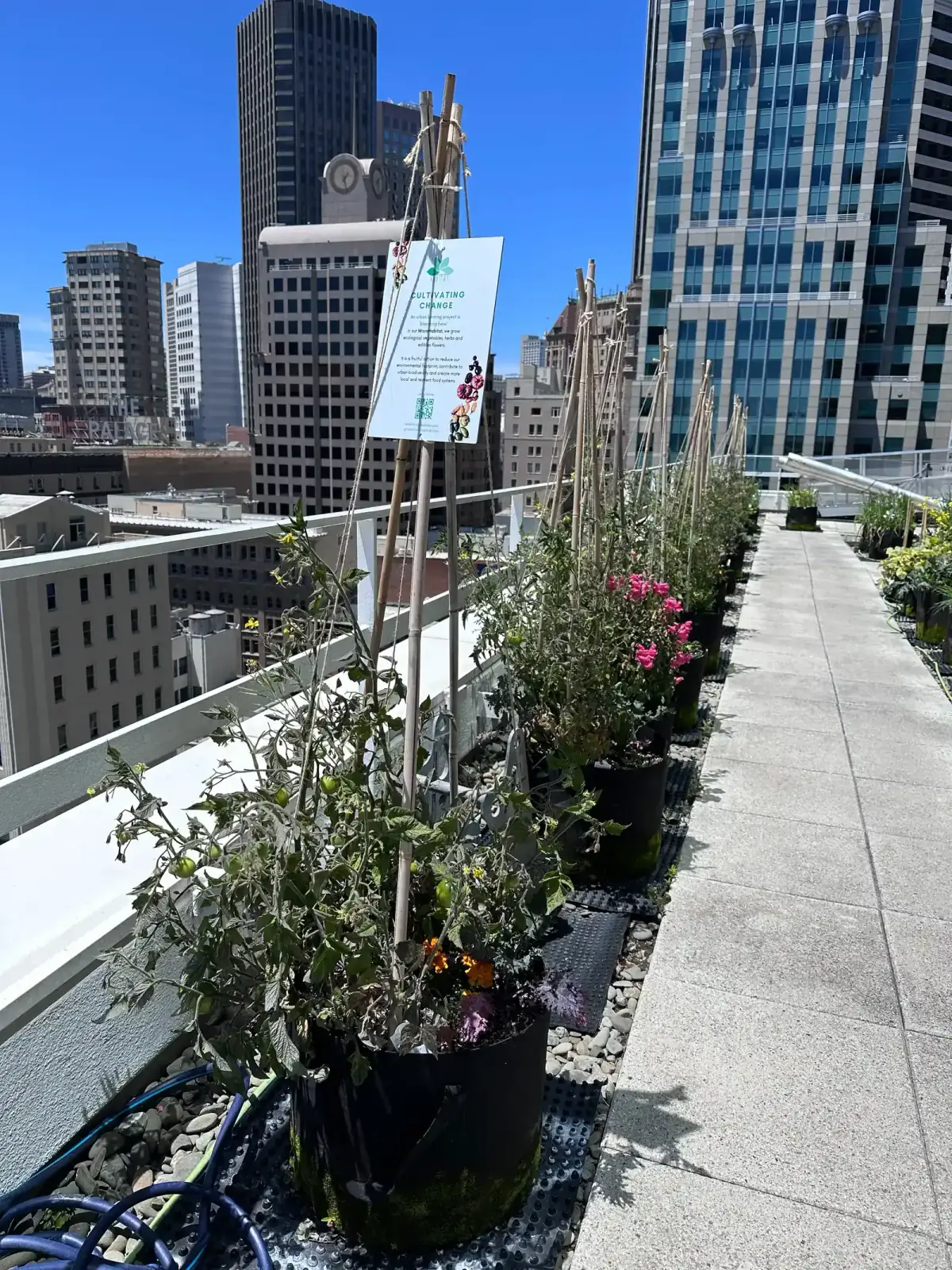 Urban Farm als Mieter-Amenity: der komplette Leitfaden