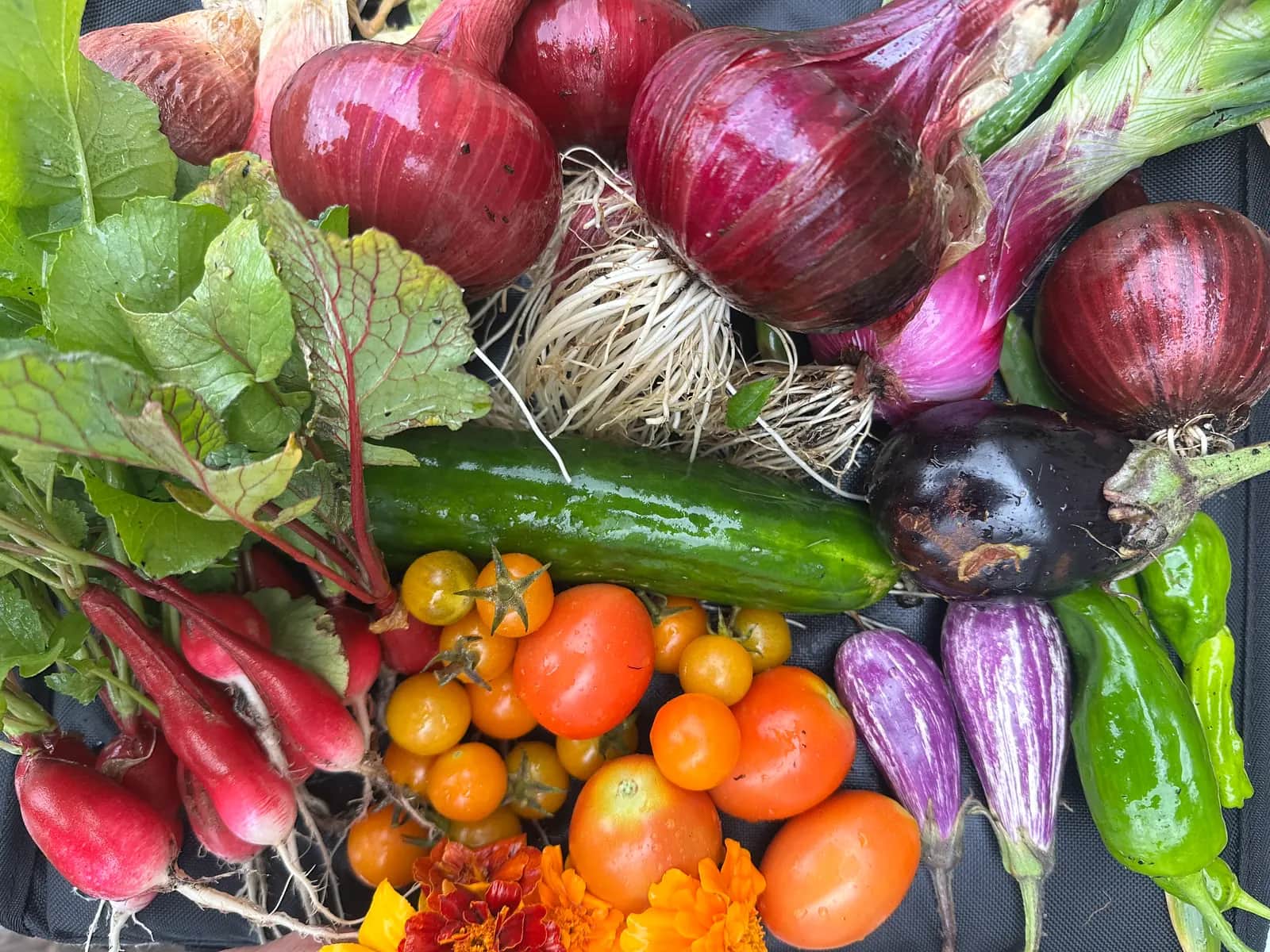 WELL v2 Ernährung: Punkte für die Farm vor Ort