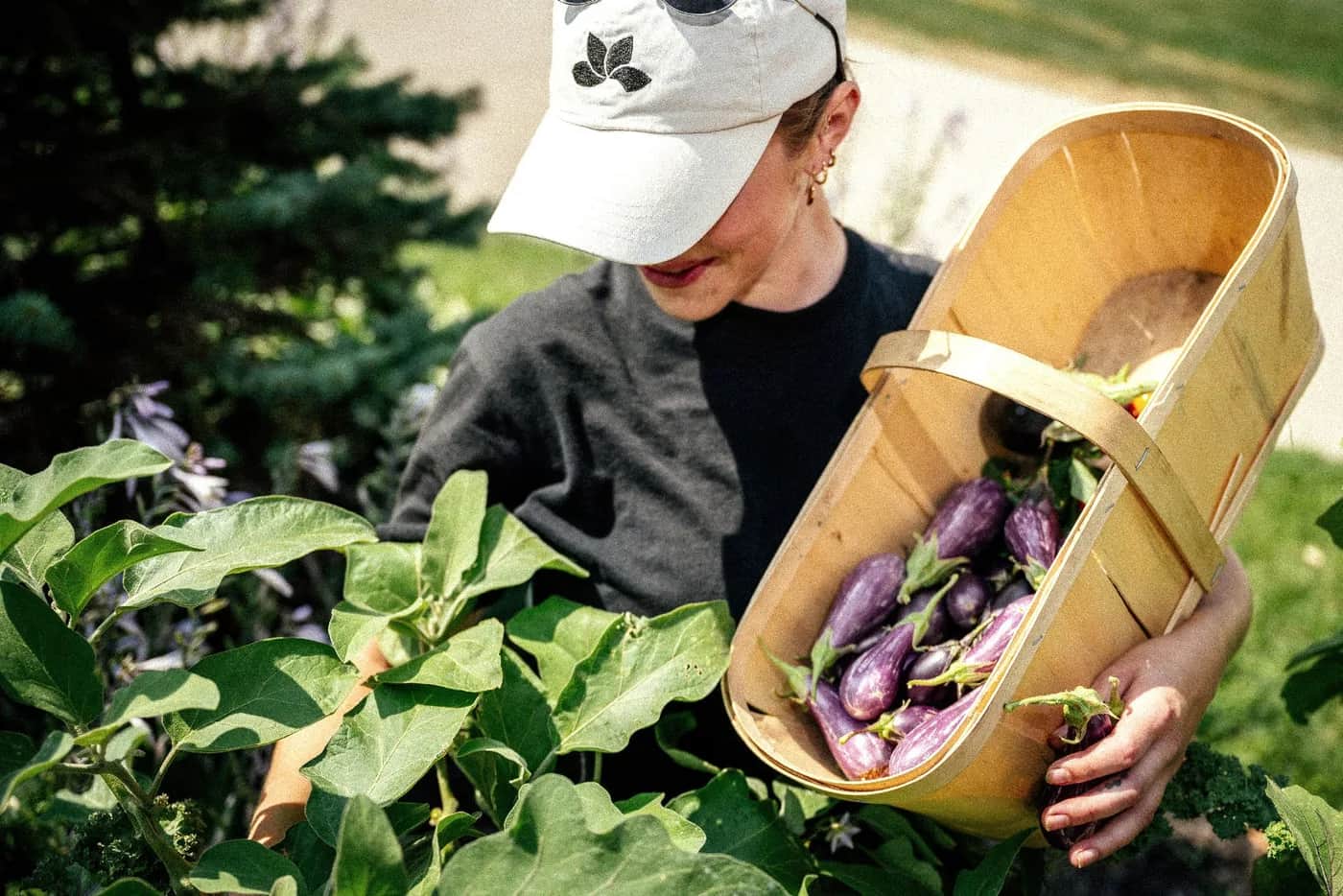 Urban Farm vs Rooftop Lounge vs Fitness Centre: Amenity ROI