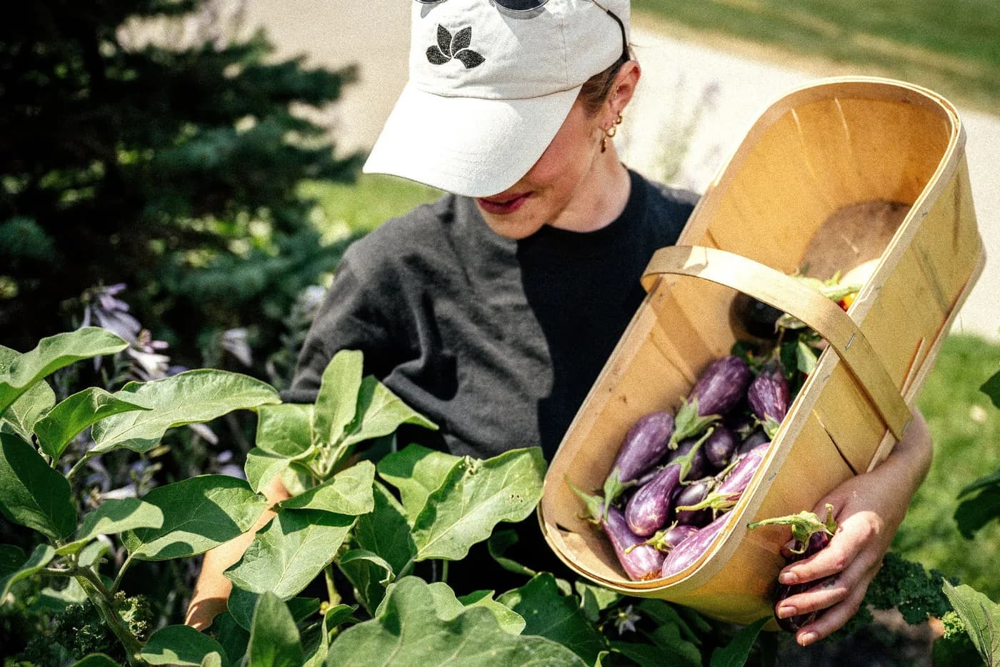 Urban Farm vs Rooftop Lounge vs Fitness Centre: Amenity ROI