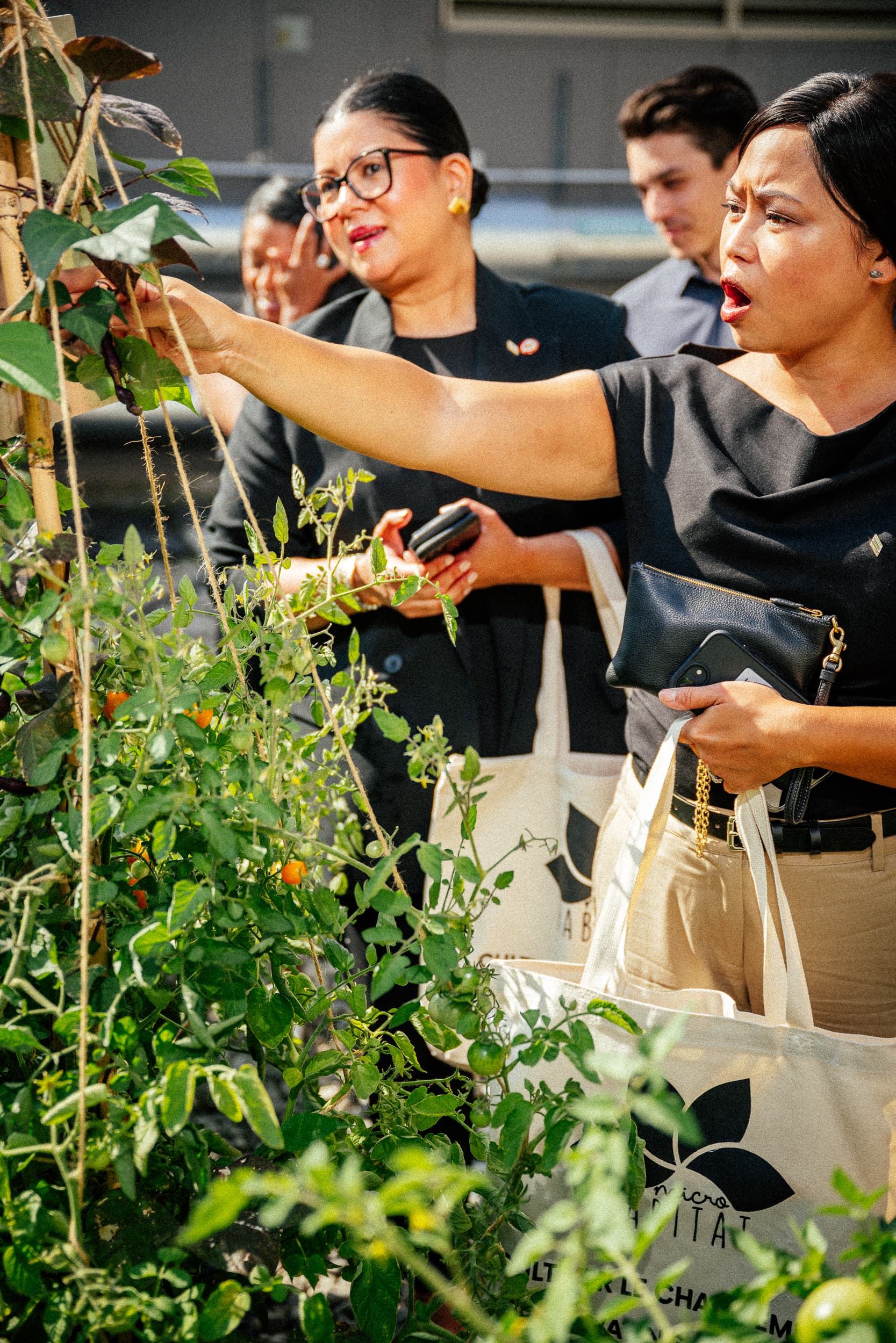 Families harvesting together at a school urban farm
