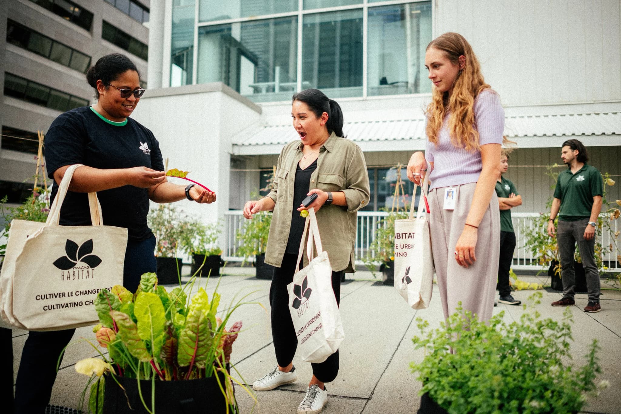 Rooftop Garden