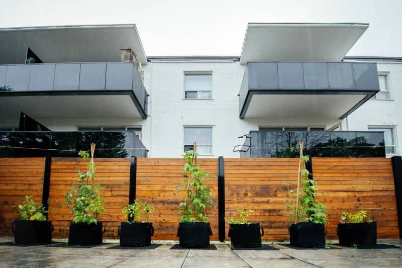 Community Garden