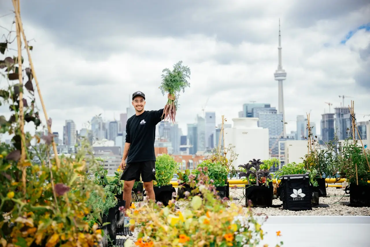 Transform your rooftop into a