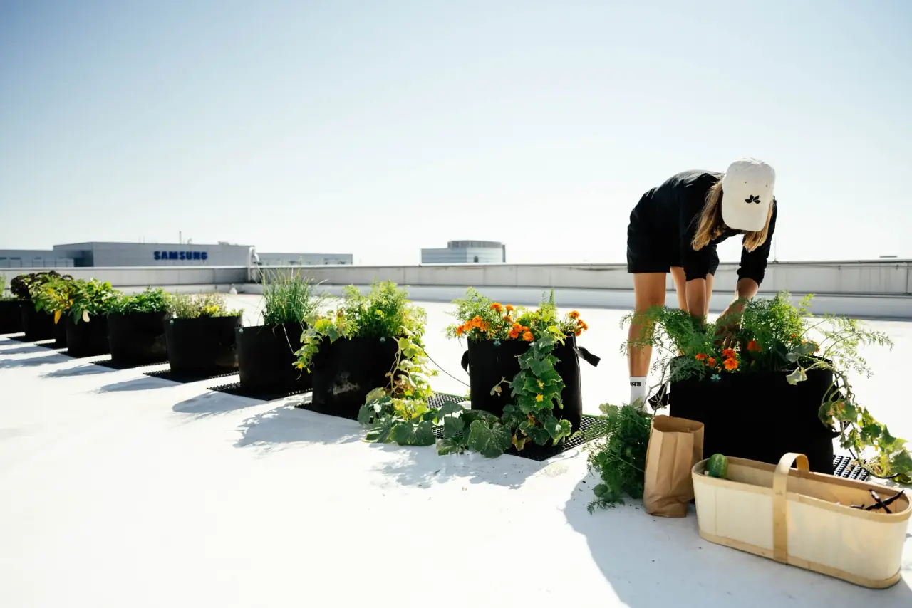 Partnership Urban Farm